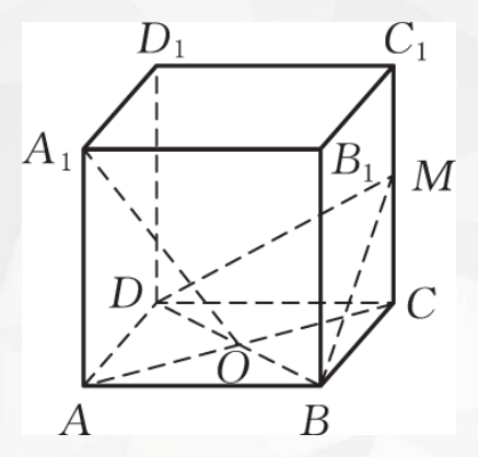 L10_page16_img11.png