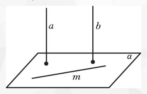 L10_page8_img5.png